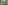 Image Concept