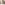 Image Concept